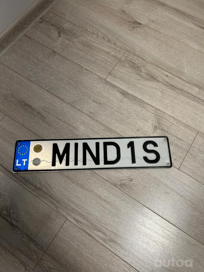 MIND1S