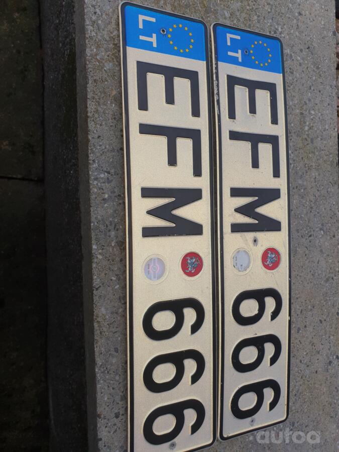 EFM666
