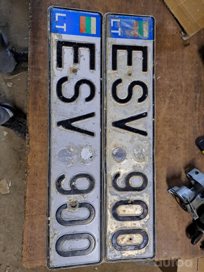 ESV900