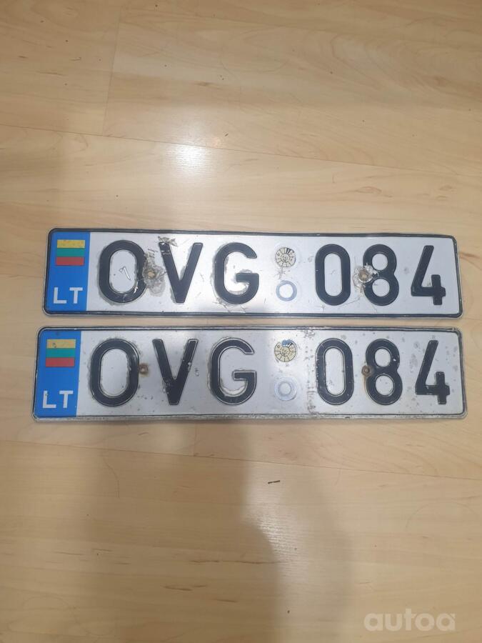 OVG084