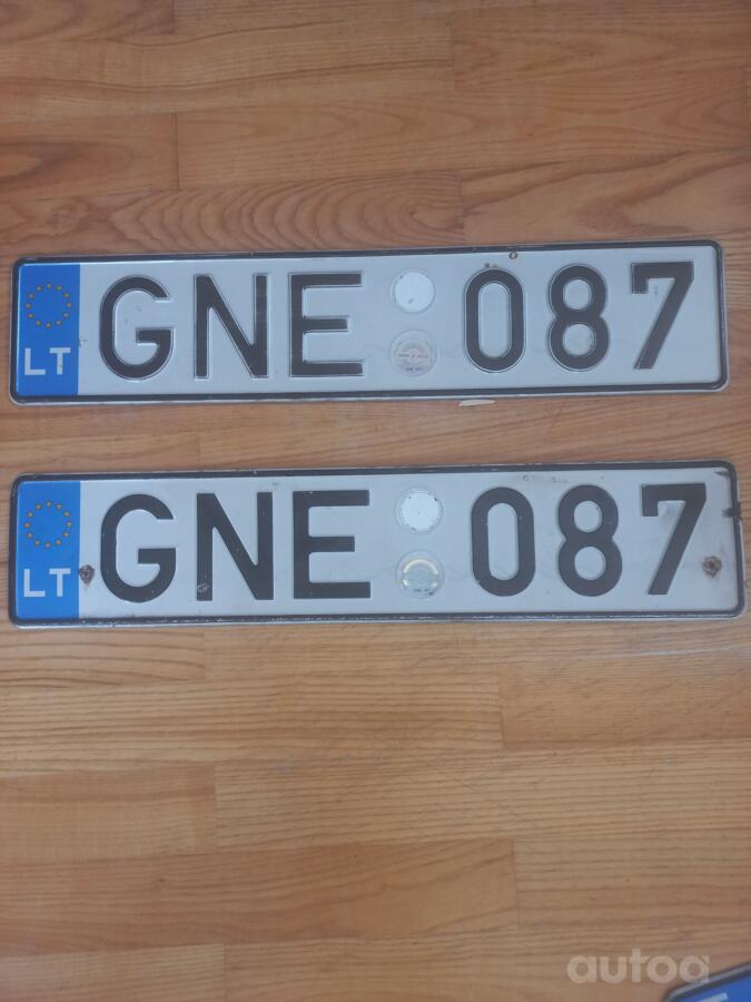 GNE087