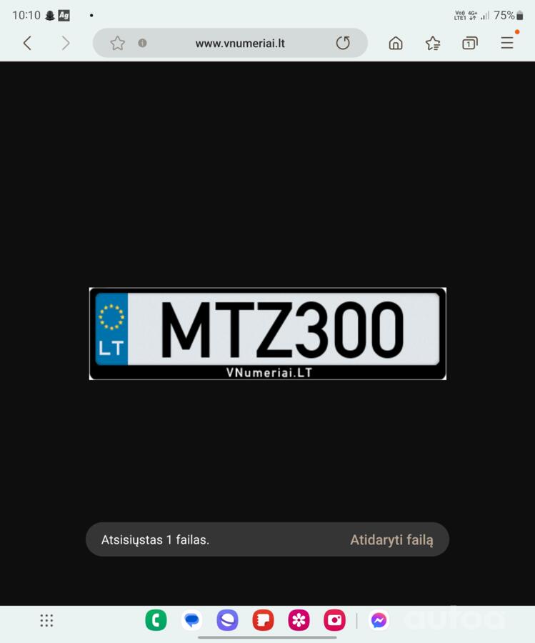 MTZ300