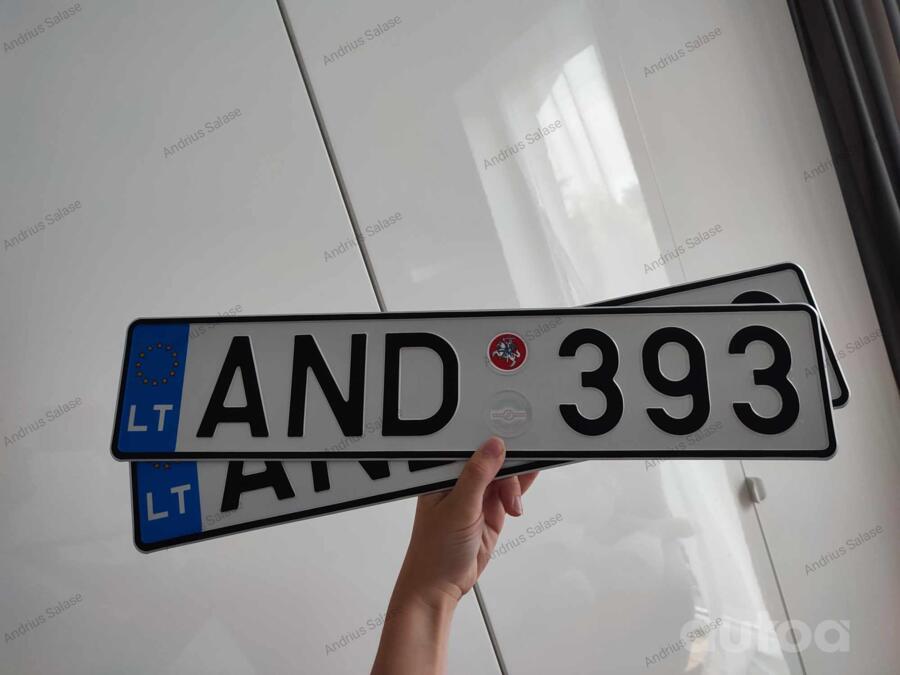 AND 393