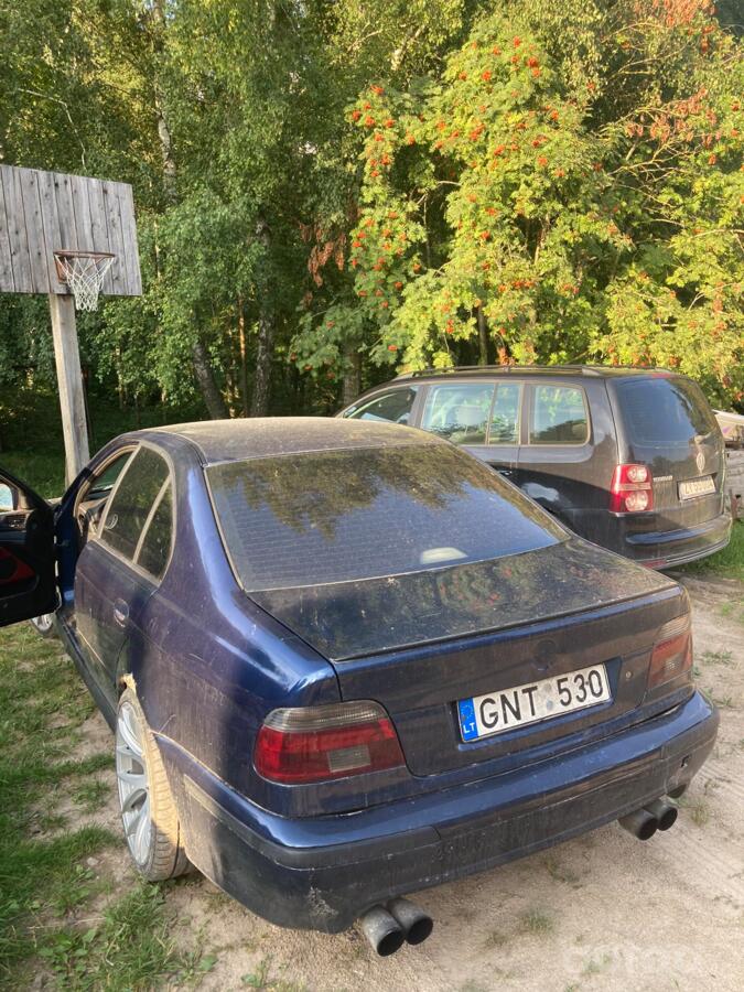 GNT 530