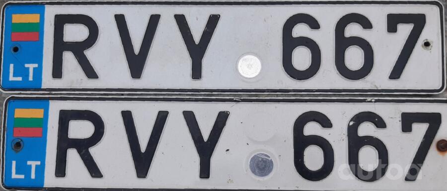RVY667