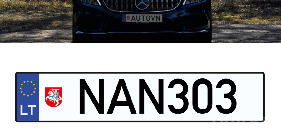 NAN303