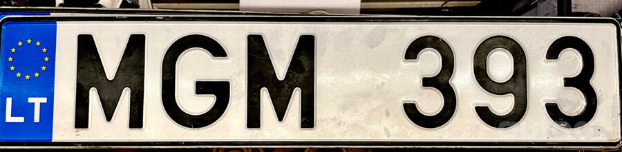 MGM 393