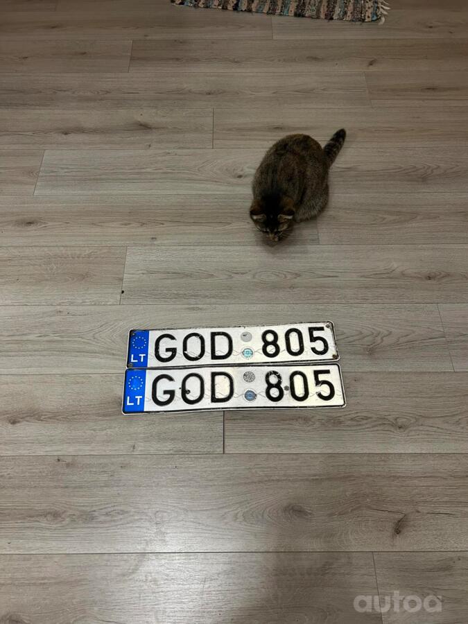 GOD805