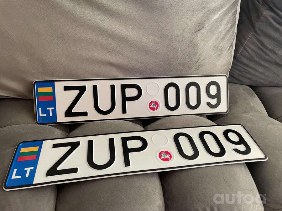 ZUP009