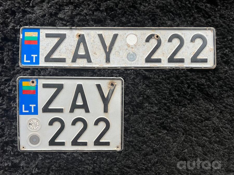 ZAY222