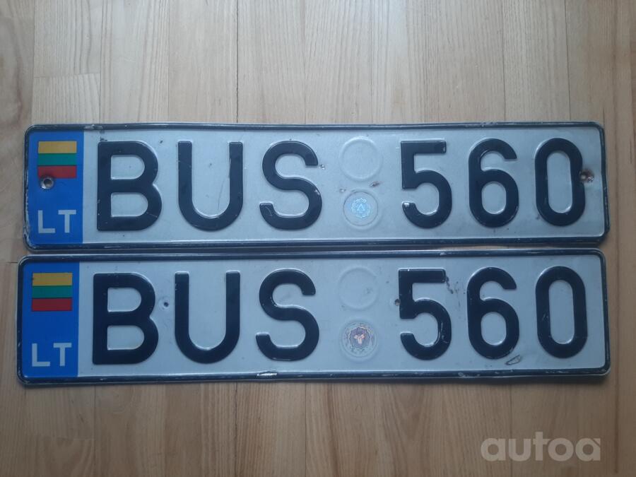 BUS560