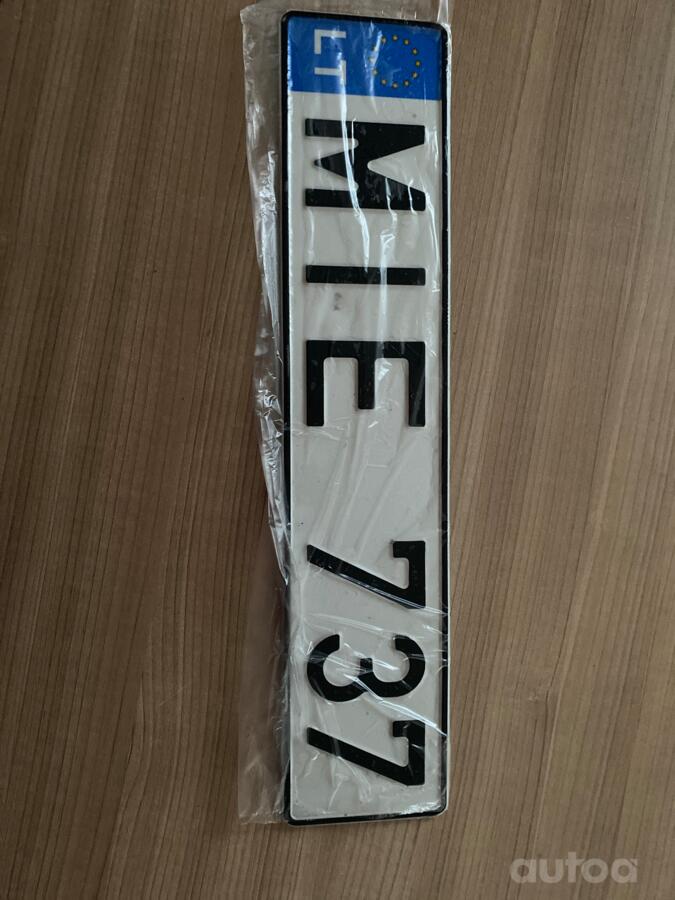 MIE 737
