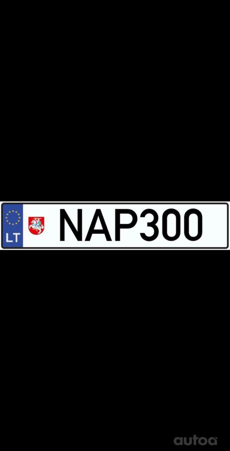 NAP300