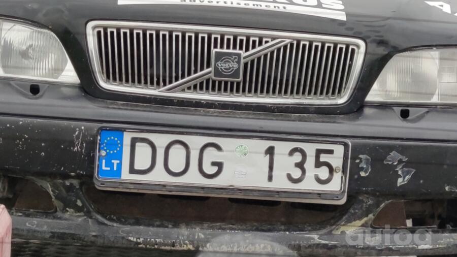 DOG135