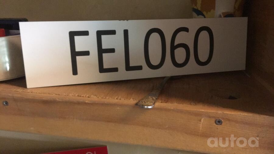 FEL060