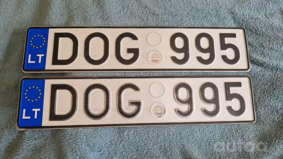 DOG995