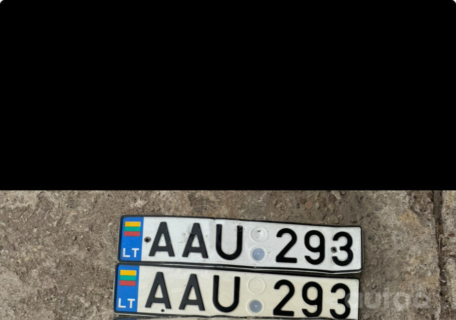 AAU 293