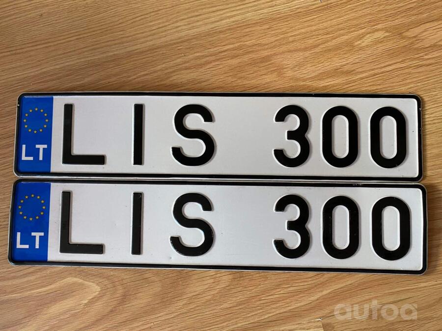 LIS300