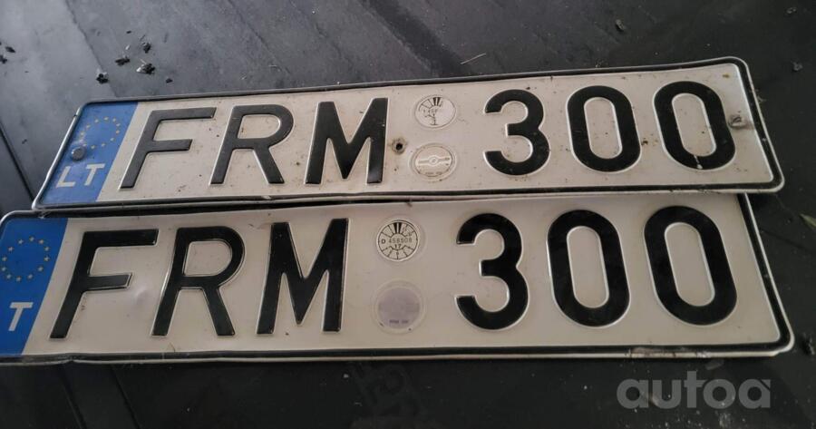 FRM:300