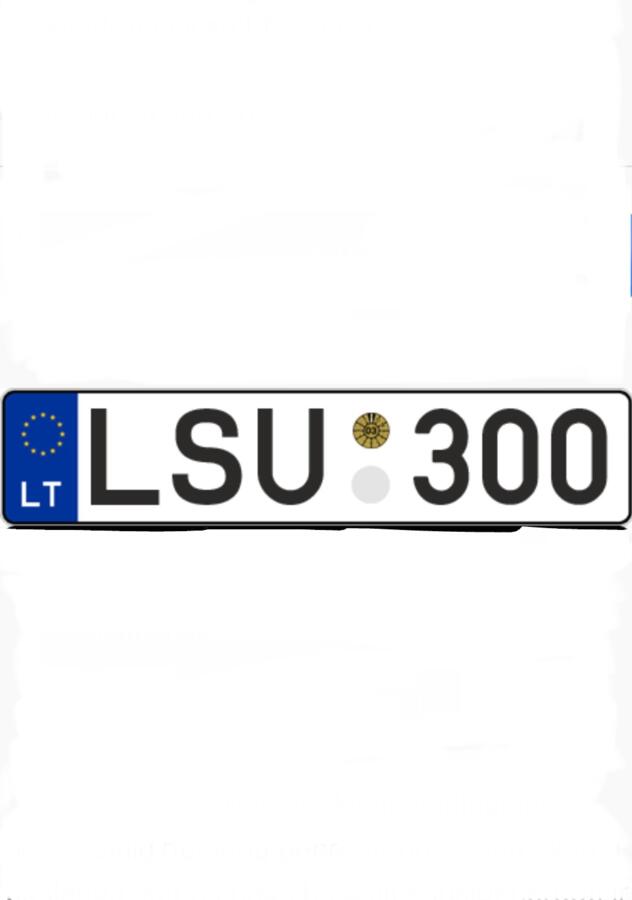 LSU300