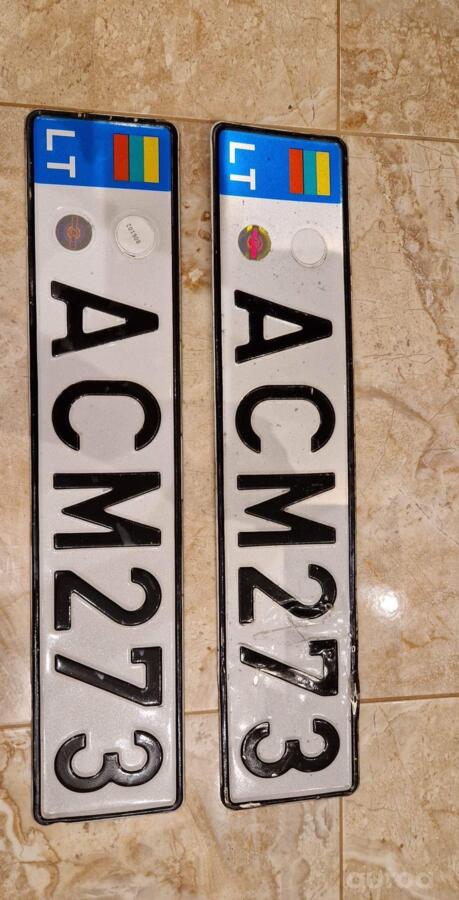 ACM273