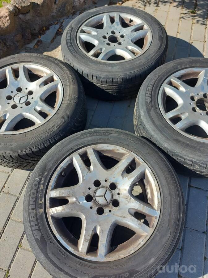 Mercedes Bendz, valuveljed