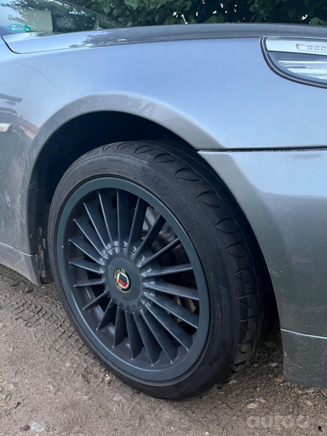 Alpina replika, valuveljed
