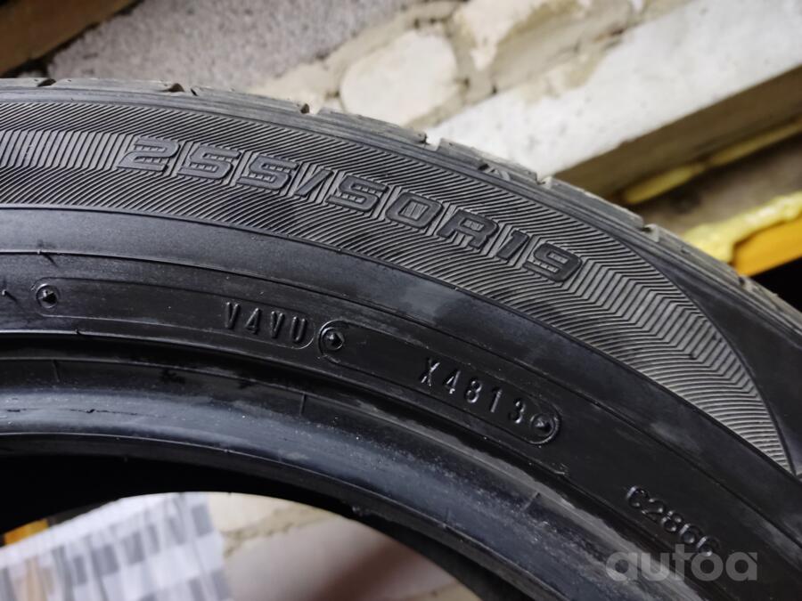 Falken