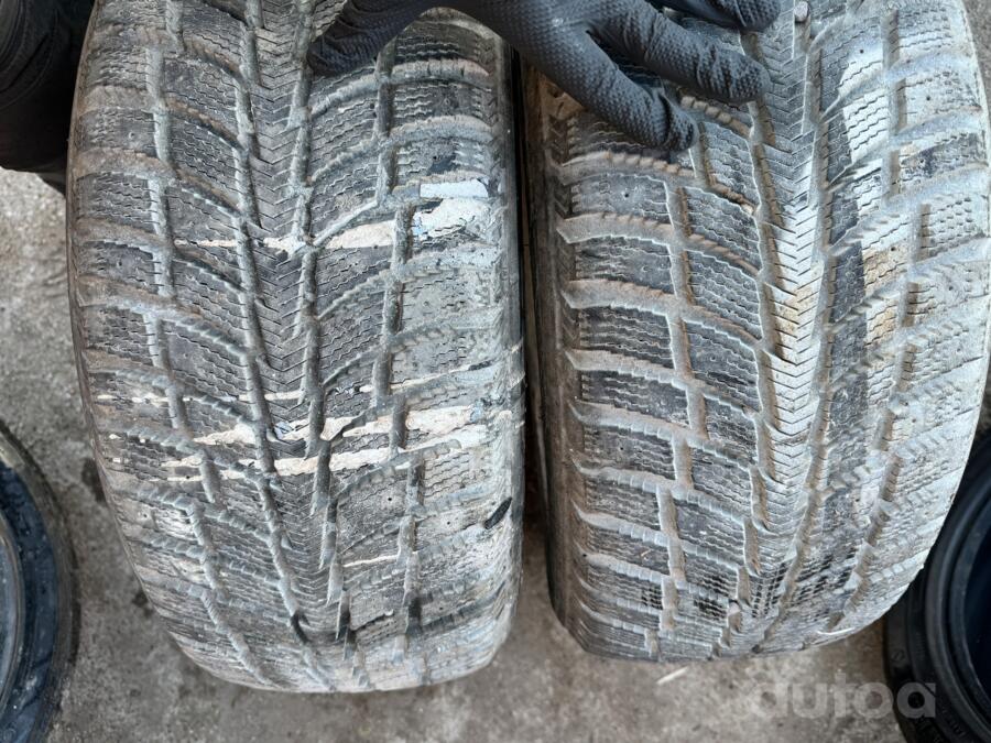 Nokian