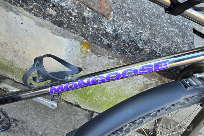 Mongoose
