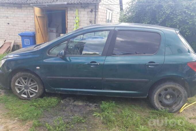 Peugeot 307 1 generation Hatchback 5-doors