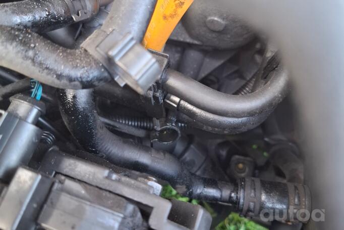 Volkswagen Passat B5.5 [restyling] wagon