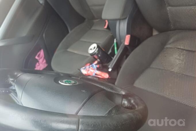 Skoda Octavia 2 generation Combi Scout wagon 5-doors