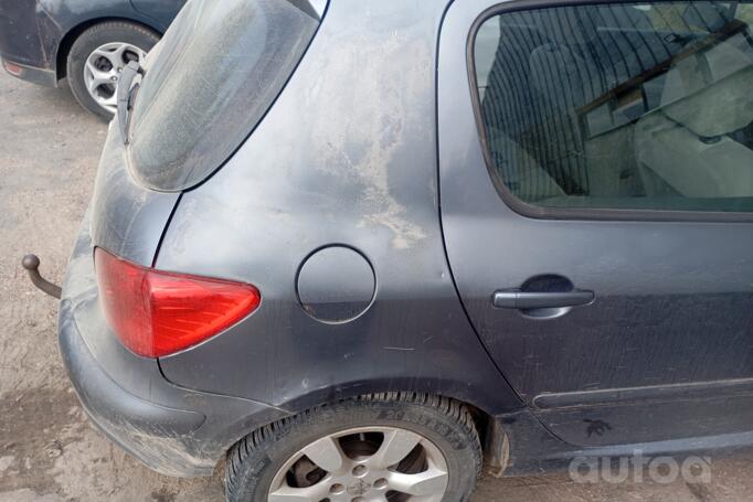 Peugeot 307 1 generation Hatchback 5-doors