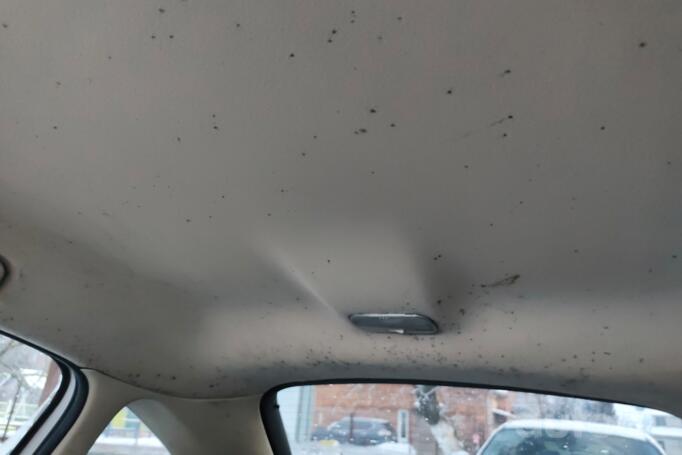 Citroen C4 1 generation Hatchback 3-doors