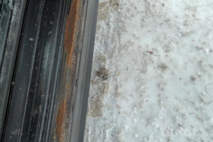 BMW 3 Series E46 [restyling] Touring wagon