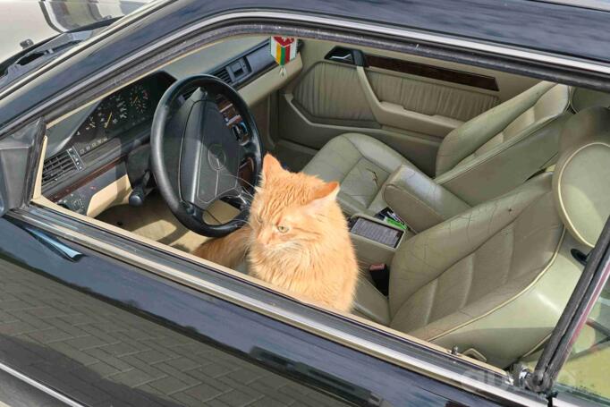 Mercedes-Benz W124