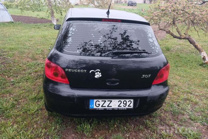 Peugeot 307 1 generation Hatchback 5-doors