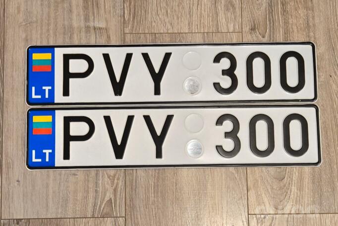 PVY300