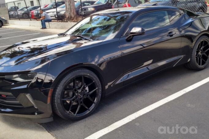 Giovanna HALEB, sepistatud