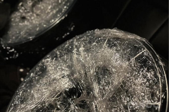 Japan Racing, valuveljed