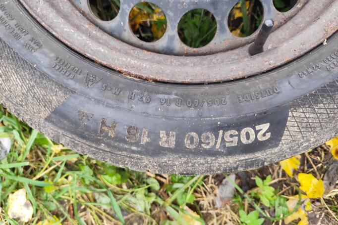 Muu, terasest stantsitud