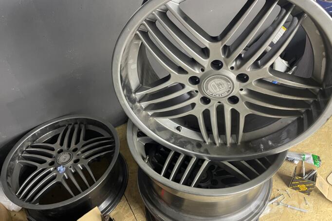 Alpina  replika, valuveljed