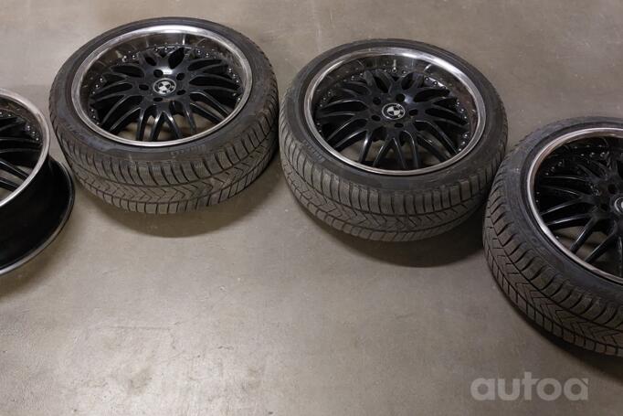 Royal german, valuveljed