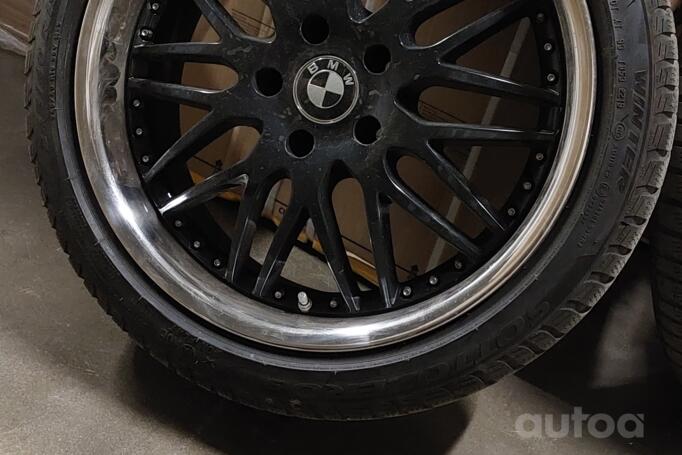 Royal german, valuveljed