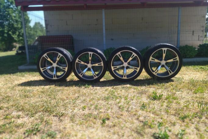 Schnitzer, valuveljed