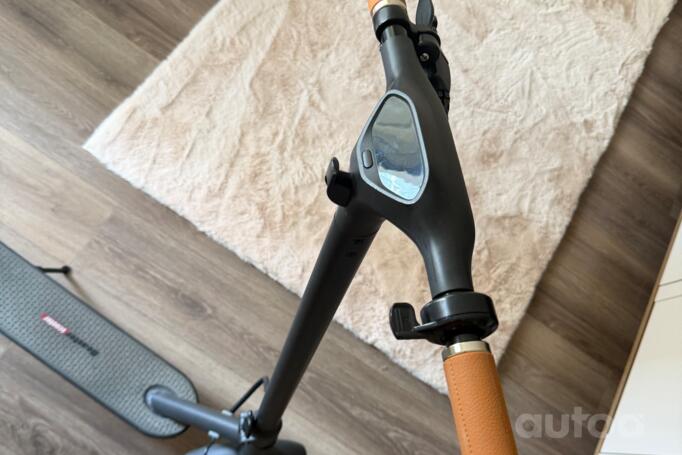 Beaster Scooter Bs06