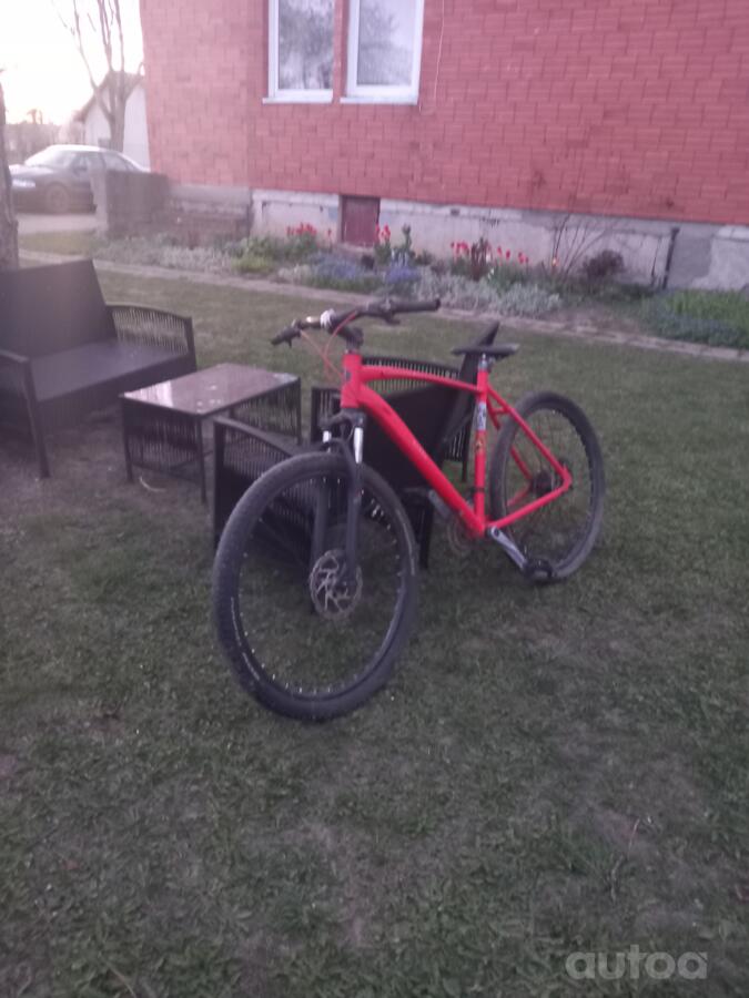 Mtb Nk
