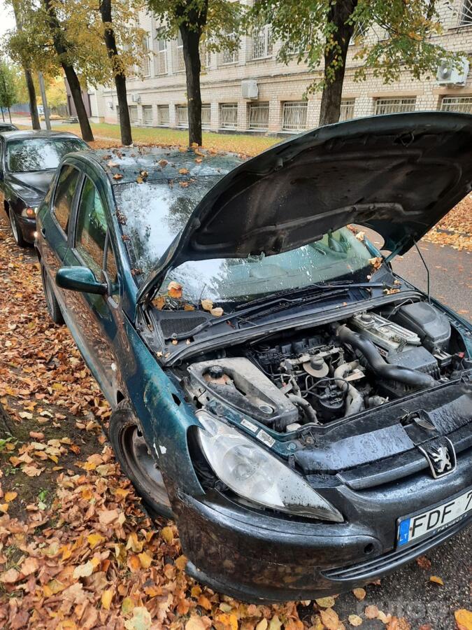 Peugeot 307 1 generation Hatchback 5-doors