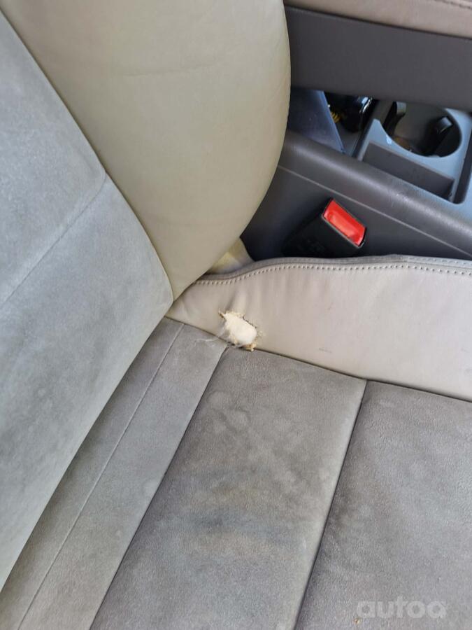 Audi A6 4F/C6 [restyling] Avant wagon 5-doors